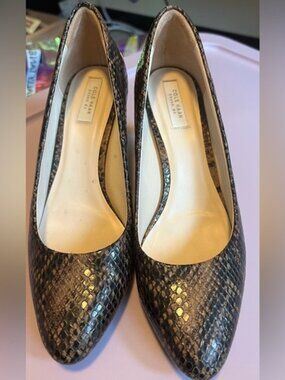 Cole Haan Women's Snakeskin Pumps - Brown Snake Texture
